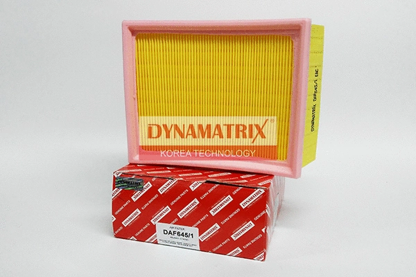 Air Filter (DAF645/1)