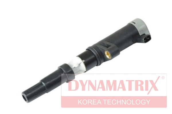 Ignition Coil (DIC021)