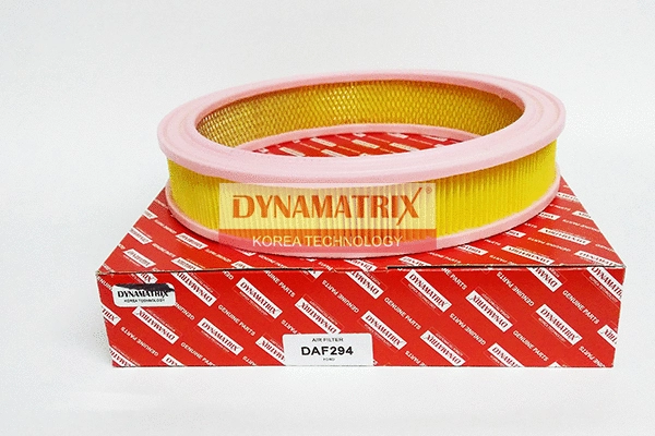Air Filter (DAF294)