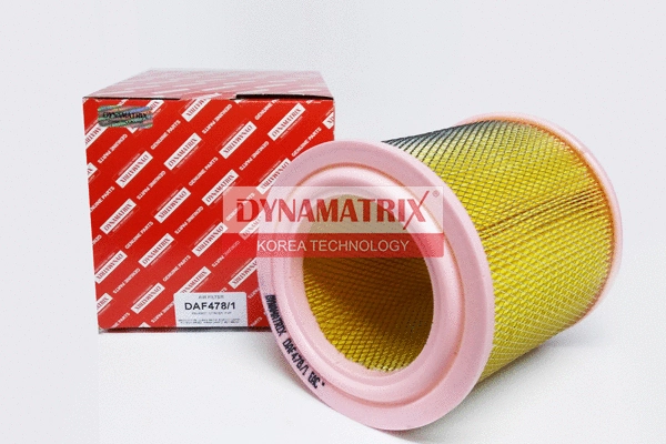Air Filter (DAF478/1)