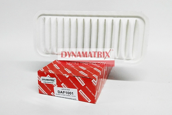 Air Filter (DAF1001)
