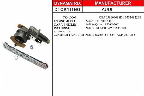 Timing Chain Kit (DTCK111NG)