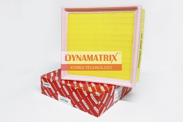 Air Filter (DAF220)