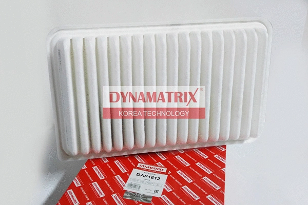 Air Filter (DAF1612)
