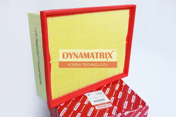 Air Filter (DAF819)