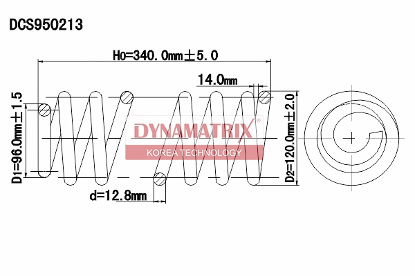 Suspension Spring (DCS950213)