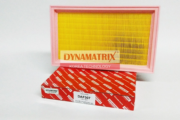 Air Filter (DAF307)