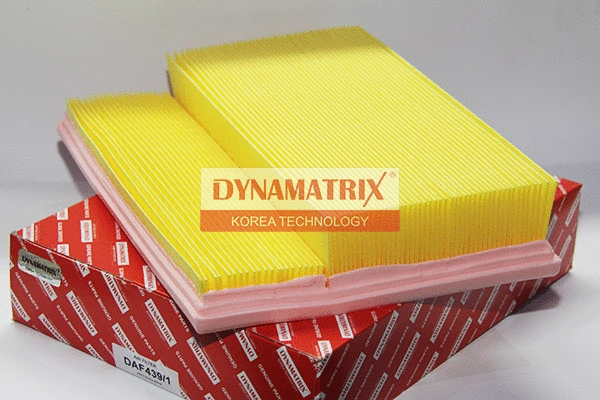 Air Filter (DAF439/1)