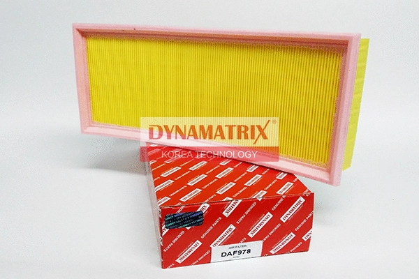 Air Filter (DAF978)