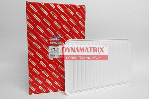 Air Filter (DAF1921)