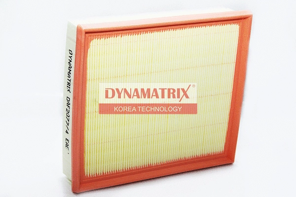 Air Filter (DAF2077/4)
