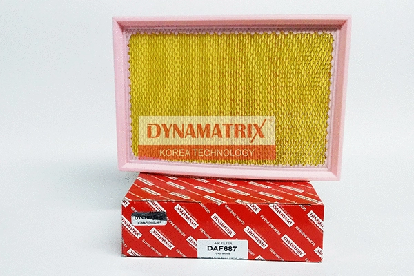 Air Filter (DAF687)