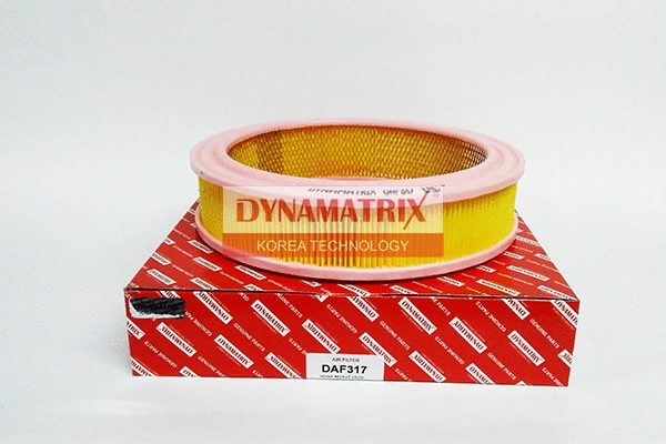 Air Filter (DAF317)