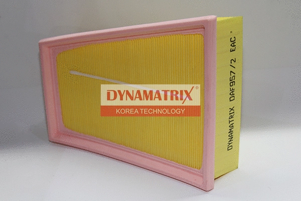 Air Filter (DAF957/2)