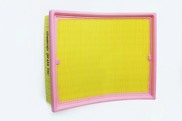 Air Filter (DAF448)