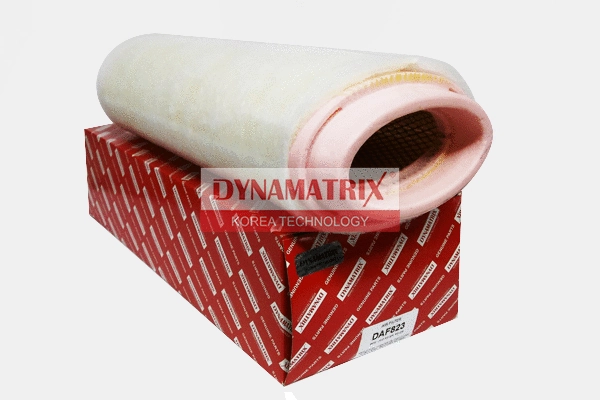 Air Filter (DAF823)