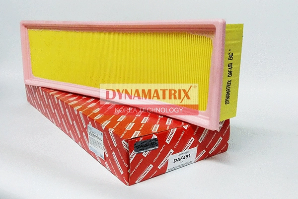 Air Filter (DAF491)