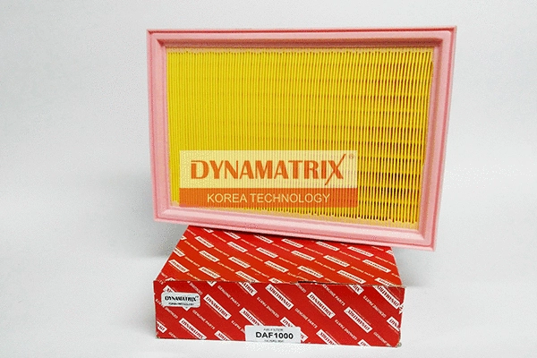 Air Filter (DAF1000)