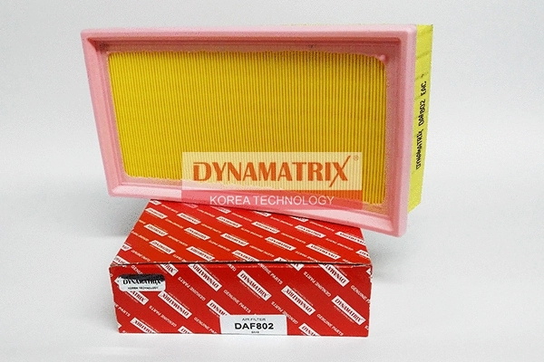 Air Filter (DAF802)