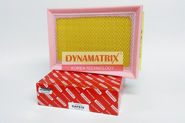 Air Filter (DAF618)