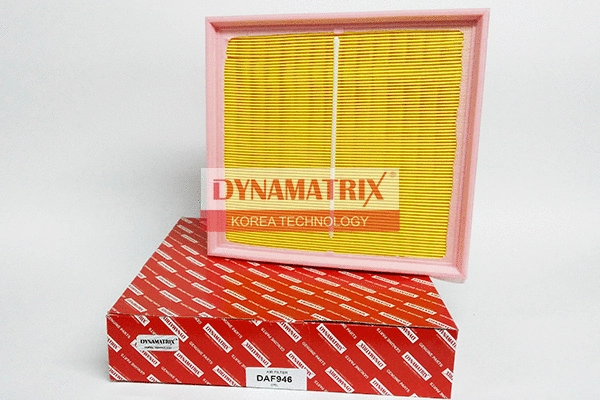 Air Filter (DAF946)
