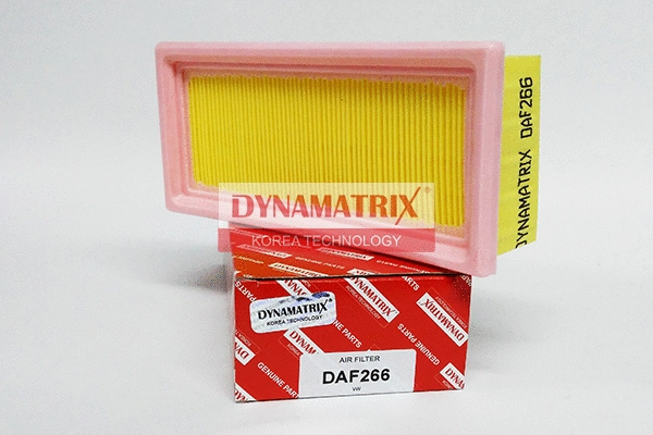 Air Filter (DAF266)