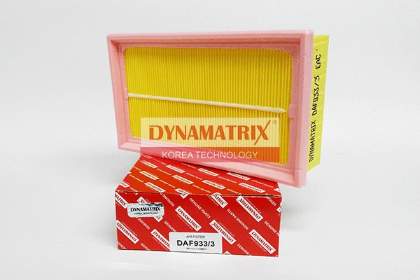 Air Filter (DAF933/3)