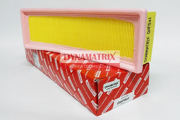 Air Filter (DAF541)