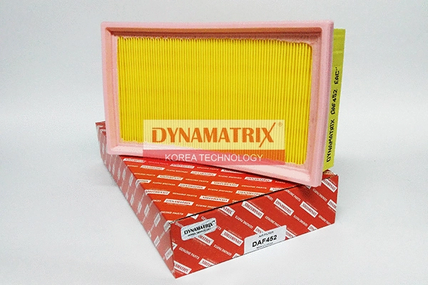 Air Filter (DAF452)