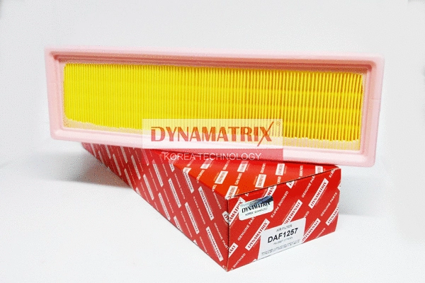 Air Filter (DAF1257)