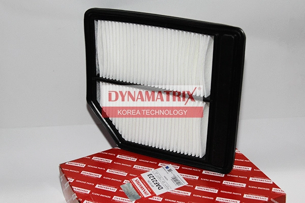 Air Filter (DAF2123)