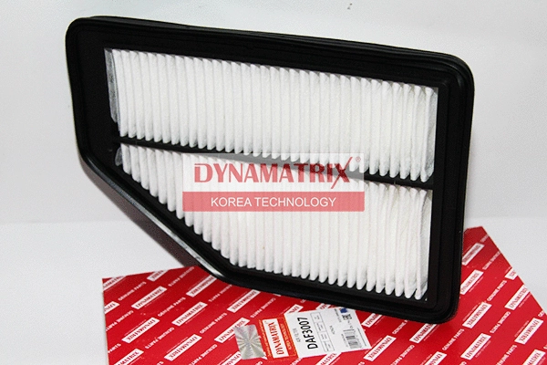 Air Filter (DAF3007)
