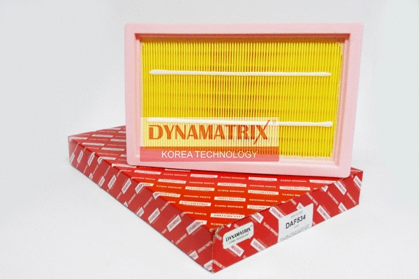 Air Filter (DAF534)
