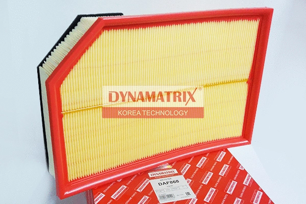 Air Filter (DAF868)