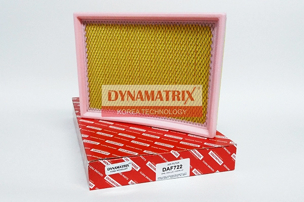 Air Filter (DAF722)