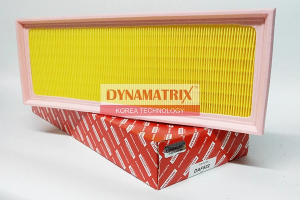 Air Filter (DAF522)