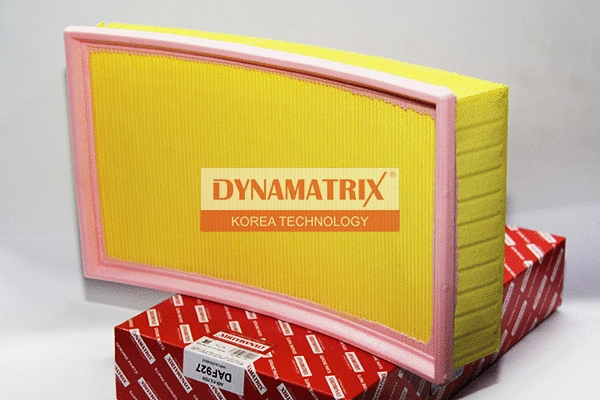 Air Filter (DAF927)