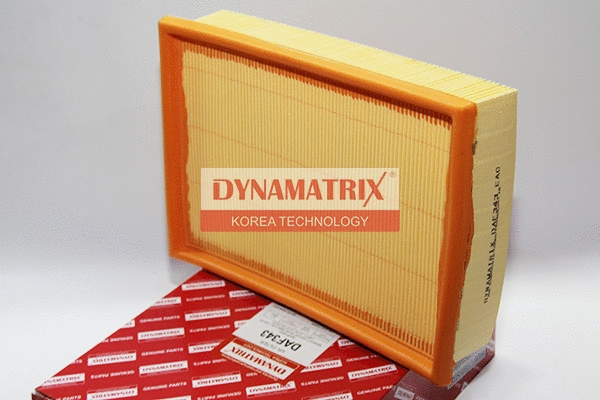 Air Filter (DAF343)