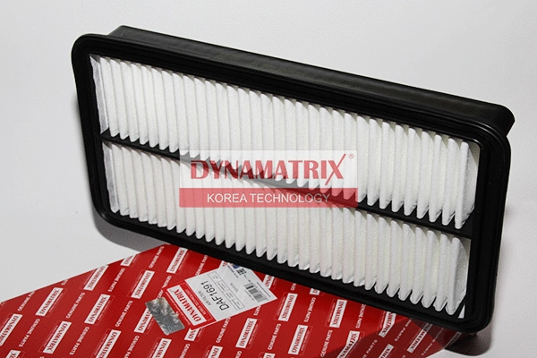 Air Filter (DAF1691)