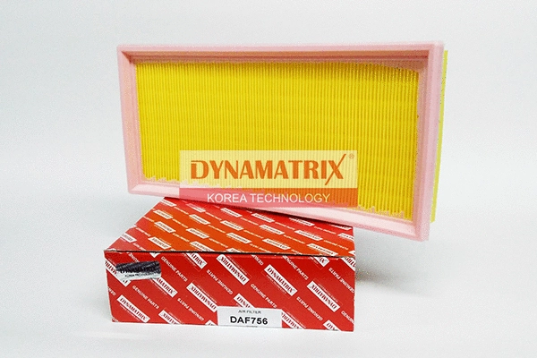 Air Filter (DAF756)