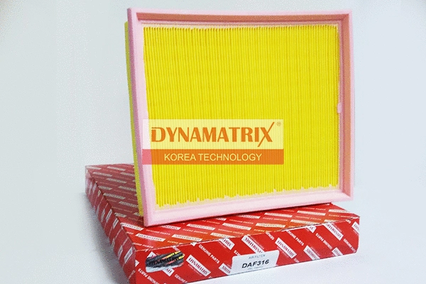 Air Filter (DAF316)