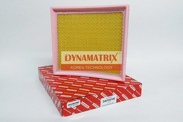 Air Filter (DAF24100)
