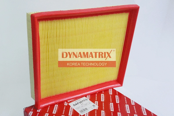 Air Filter (DAF2077/3)