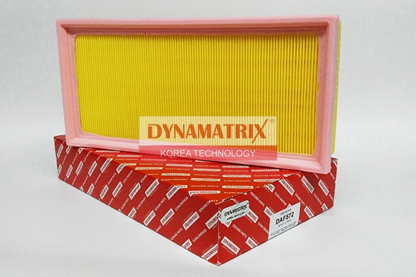Air Filter (DAF572)