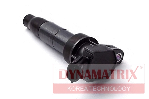 Ignition Coil (DIC098)