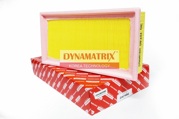 Air Filter (DAF494)