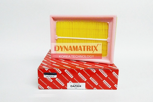 Air Filter (DAF264)