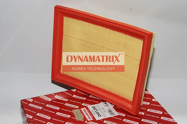 Air Filter (DAF1268)