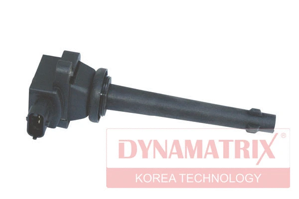 Ignition Coil (DIC134)