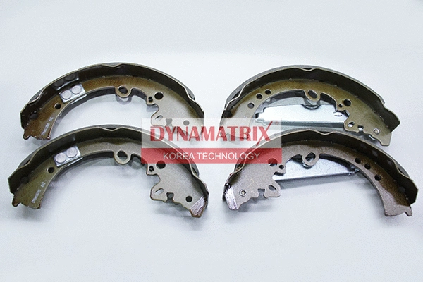 Brake Shoe Set (DBS4010)